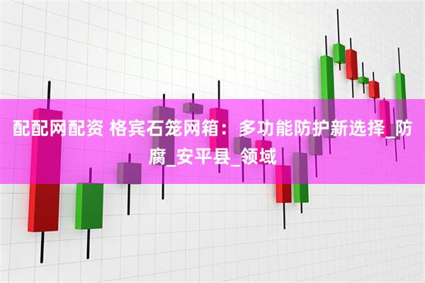 配配网配资 格宾石笼网箱：多功能防护新选择_防腐_安平县_领域